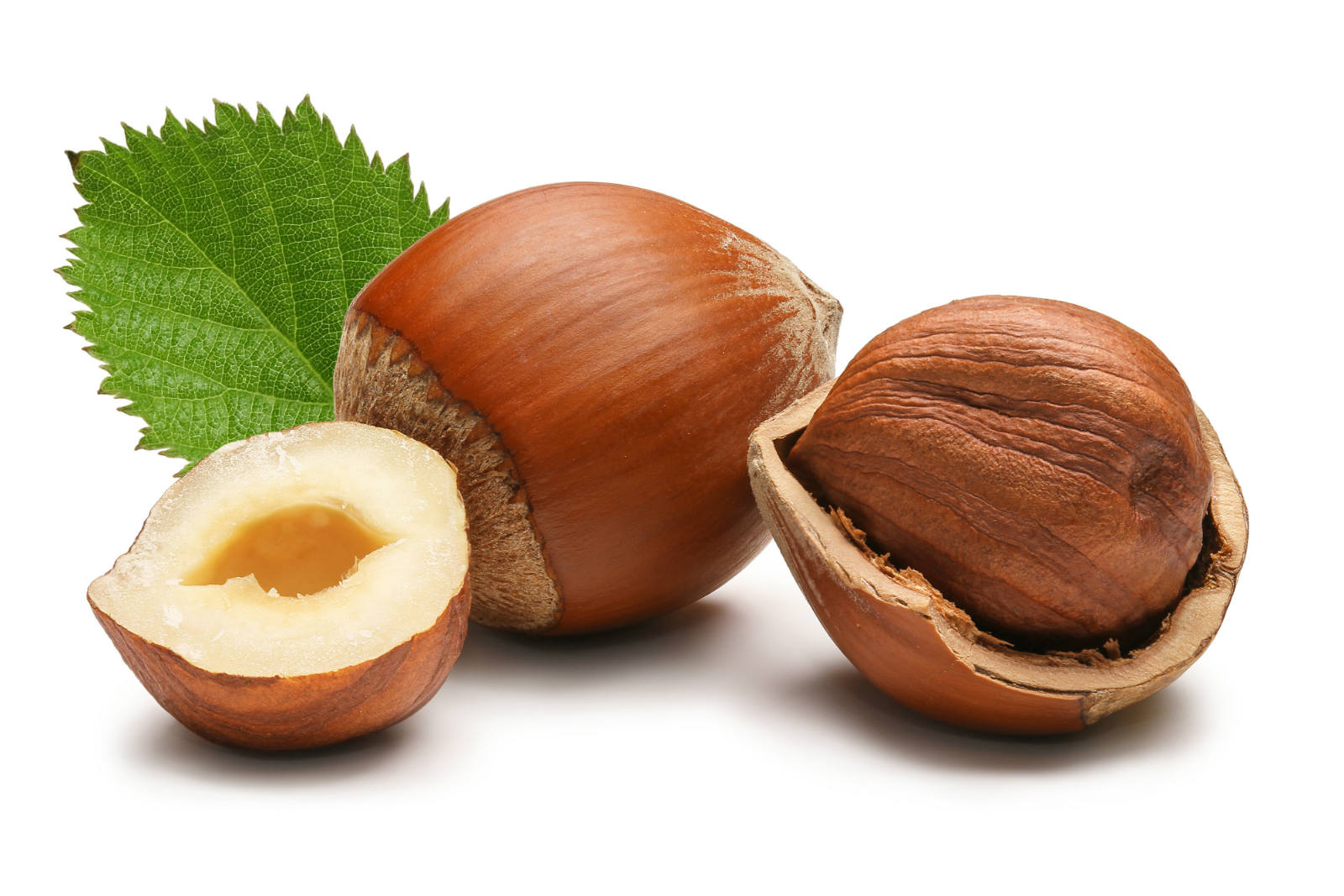 Georgia aims to become second largest hazelnut exporter geotv.ge