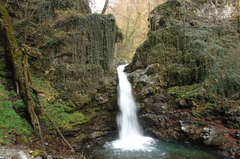 Georgia’s Vashlovani Protected Area receives European recognition geotv.ge