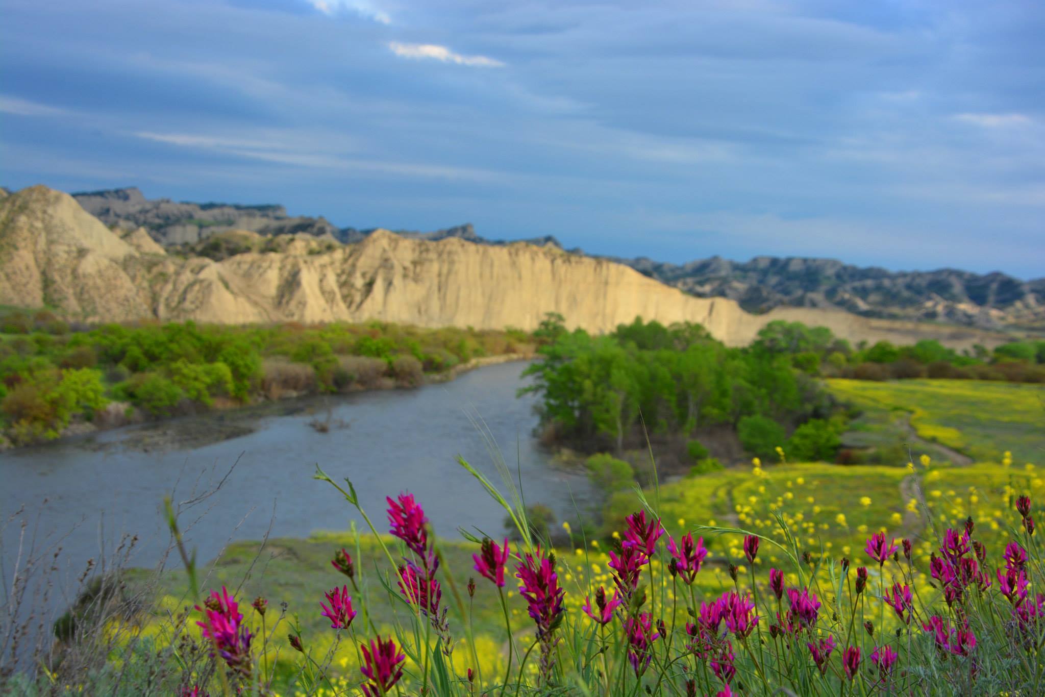 Georgia’s Vashlovani Protected Area receives European recognition geotv.ge