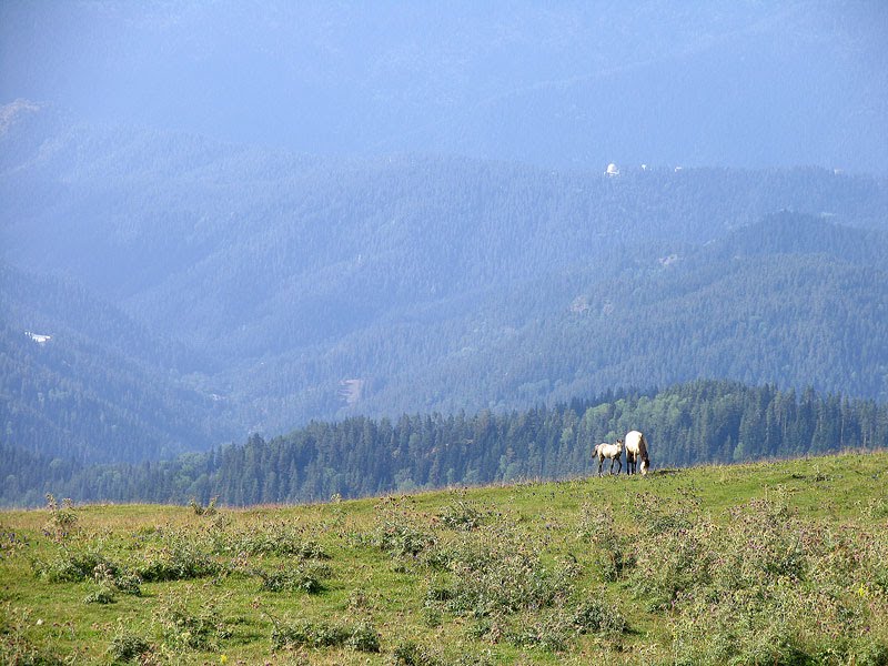 Five Georgian resorts the development of which will bring the country great profit geotv.ge