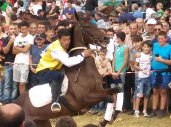 Traditional horse race takes place in Bakhmaro, Guria region geotv.ge