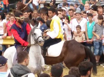 Traditional horse race takes place in Bakhmaro, Guria region geotv.ge