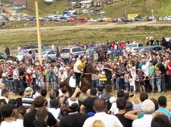 Traditional horse race takes place in Bakhmaro, Guria region geotv.ge