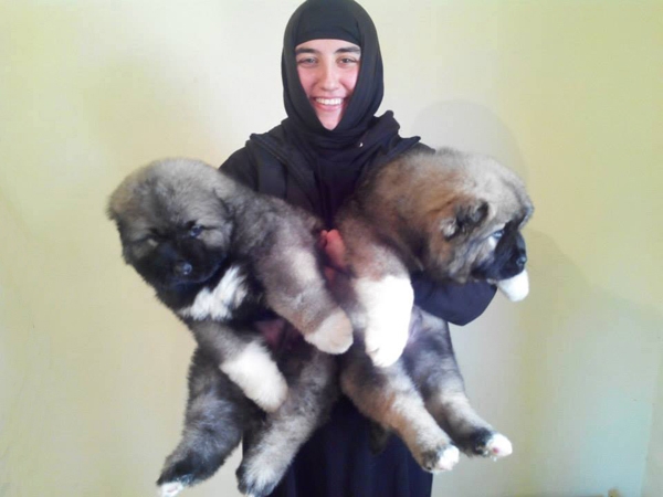 Khareba monastery's little guardians - Nuns raising pups geotv.ge