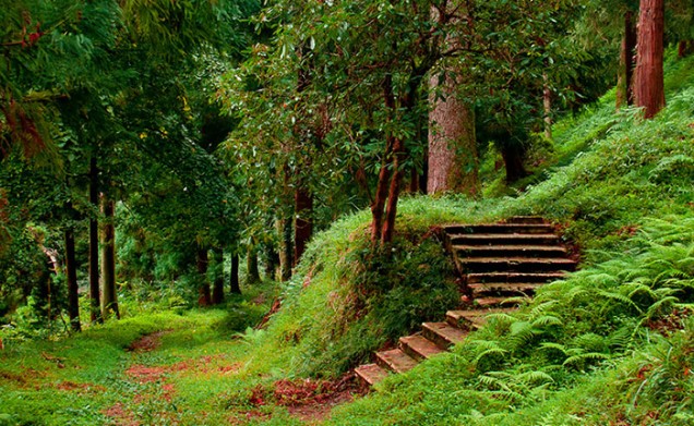 10 reasons to visit Adjara, a coastal pearl of Georgia geotv.ge