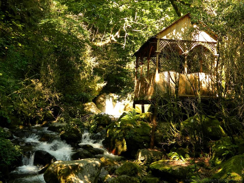 5 places of Georgia's beautiful seaside resort Batumi that you absolutely have to visit geotv.ge