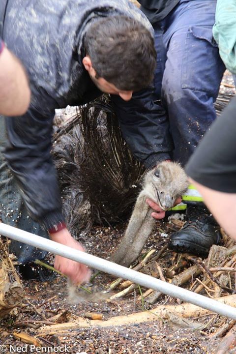 Survivors of the Tbilisi Flood geotv.ge