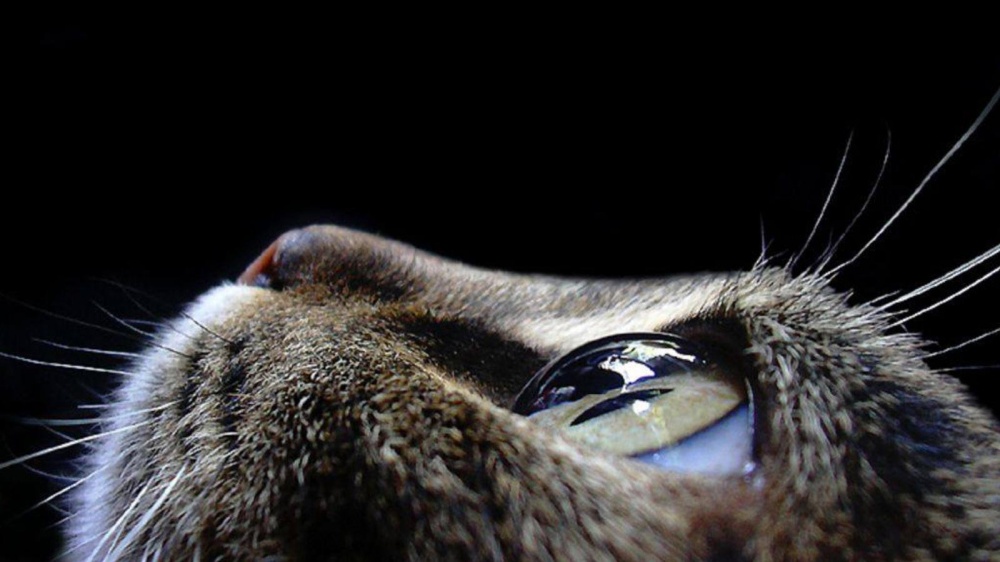 Fantastic photos that will help you discover a beautiful new world geotv.ge