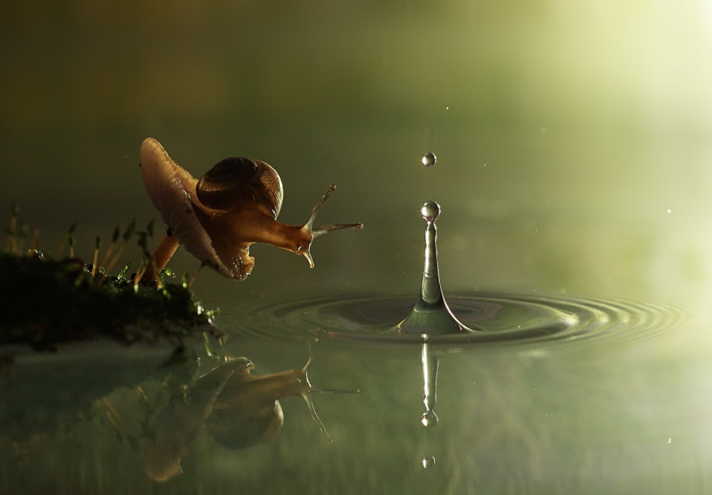 Fantastic photos that will help you discover a beautiful new world geotv.ge