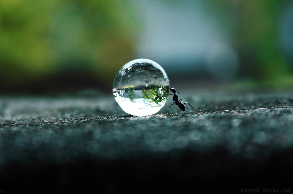 Fantastic photos that will help you discover a beautiful new world geotv.ge