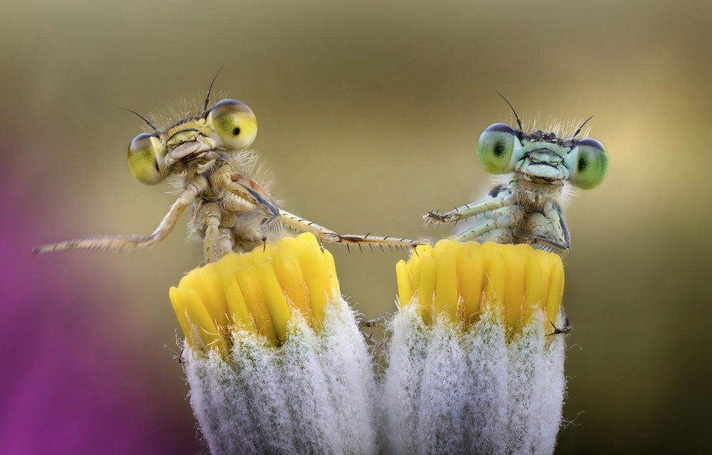 Fantastic photos that will help you discover a beautiful new world geotv.ge