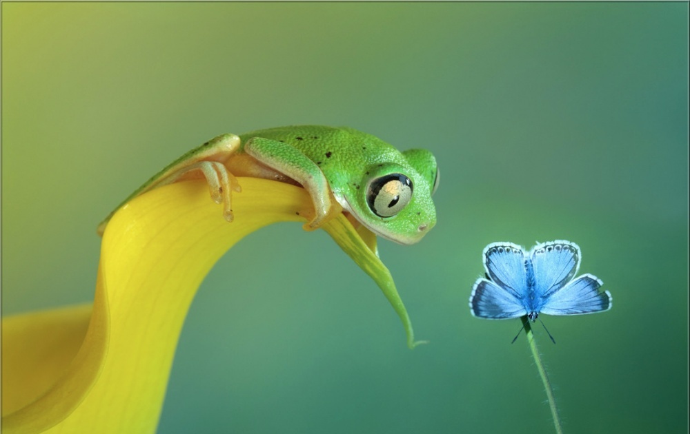 Fantastic photos that will help you discover a beautiful new world geotv.ge