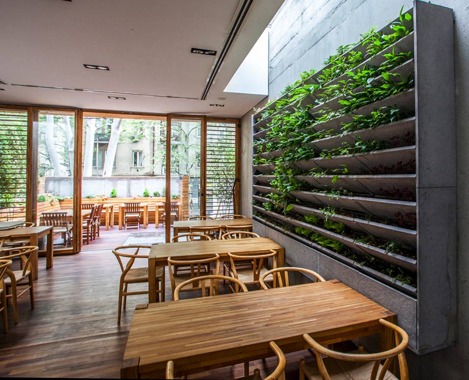 7 Tasty Places for International Food in Tbilisi geotv.ge