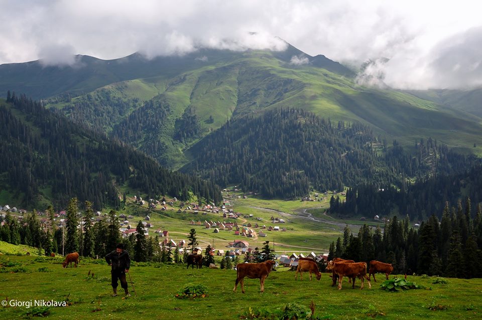 Bakhmaro – Georgia's highest alpine climatic resort geotv.ge