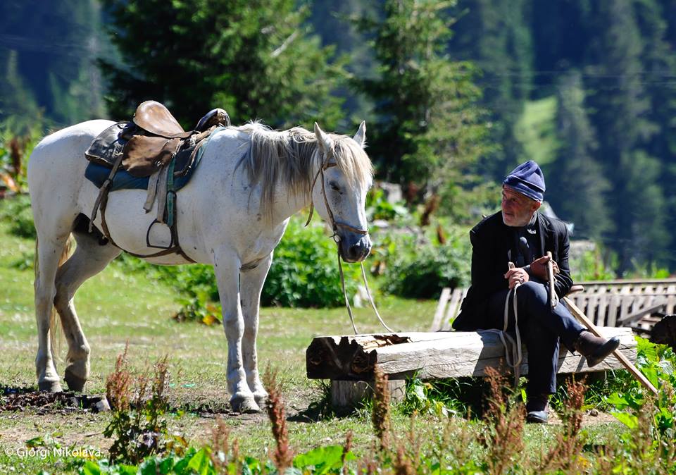 Bakhmaro – Georgia's highest alpine climatic resort geotv.ge