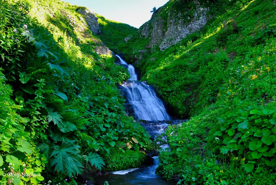 Bakhmaro – Georgia's highest alpine climatic resort geotv.ge