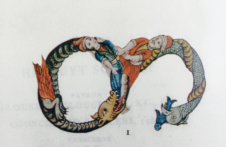 Exquisite illustrations of the Georgian alphabet kept in the National Library of Ireland geotv.ge