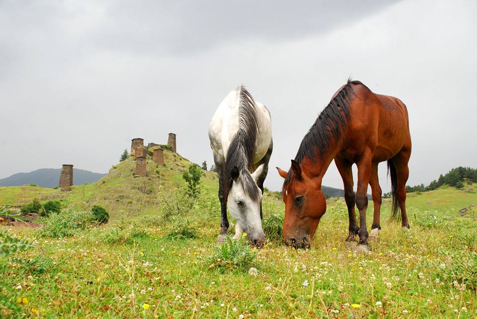 Mzemoe! – Tusheti Awaits geotv.ge