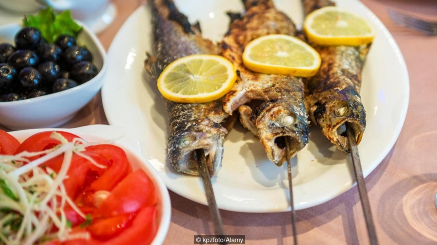 How to survive a Georgian feast – BBC geotv.ge