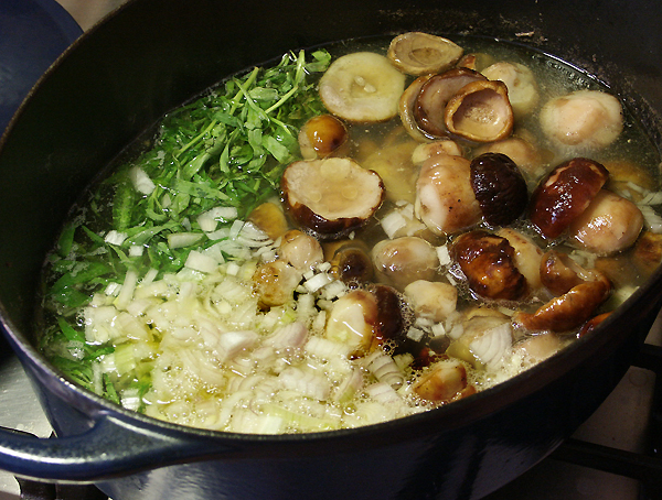 Rare flavor - Mushroom with tarragon and spices geotv.ge