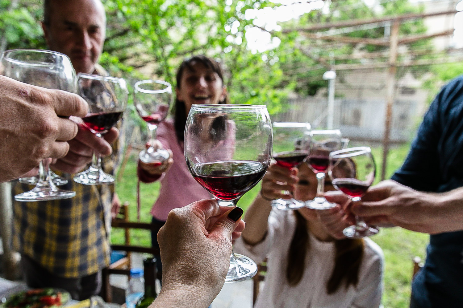 Drinking Georgian Qvevri Wine Daily is Super Healthy! geotv.ge