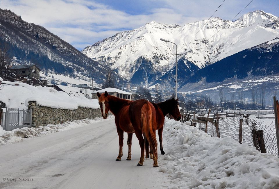 A trip to winter Svaneti: Medieval castles meet modern ski resort geotv.ge