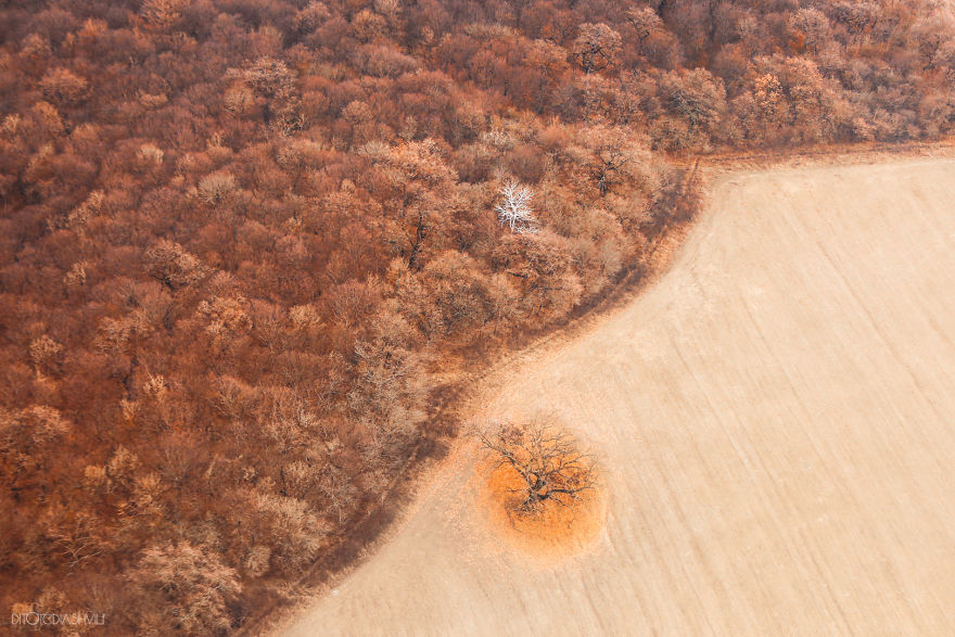 Amazing Kakheti captured from helicopter by Georgian photographer geotv.ge