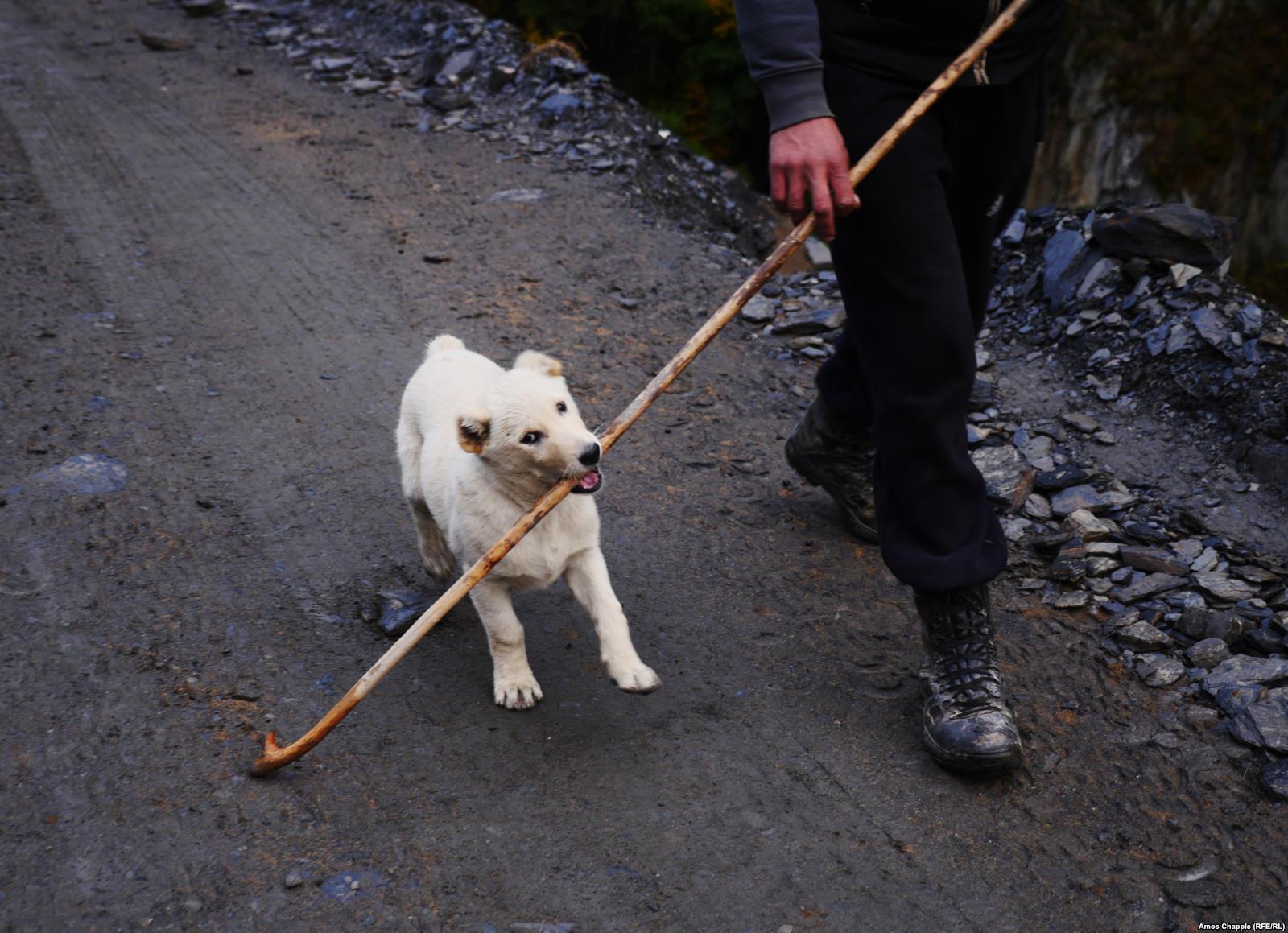 „A deadly, boozy journey“ with the shepherds of Tusheti geotv.ge