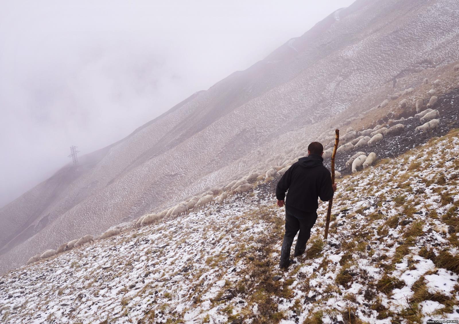 „A deadly, boozy journey“ with the shepherds of Tusheti geotv.ge