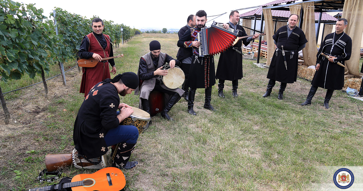 Rtveli – Harvesting grapes, Georgian style geotv.ge