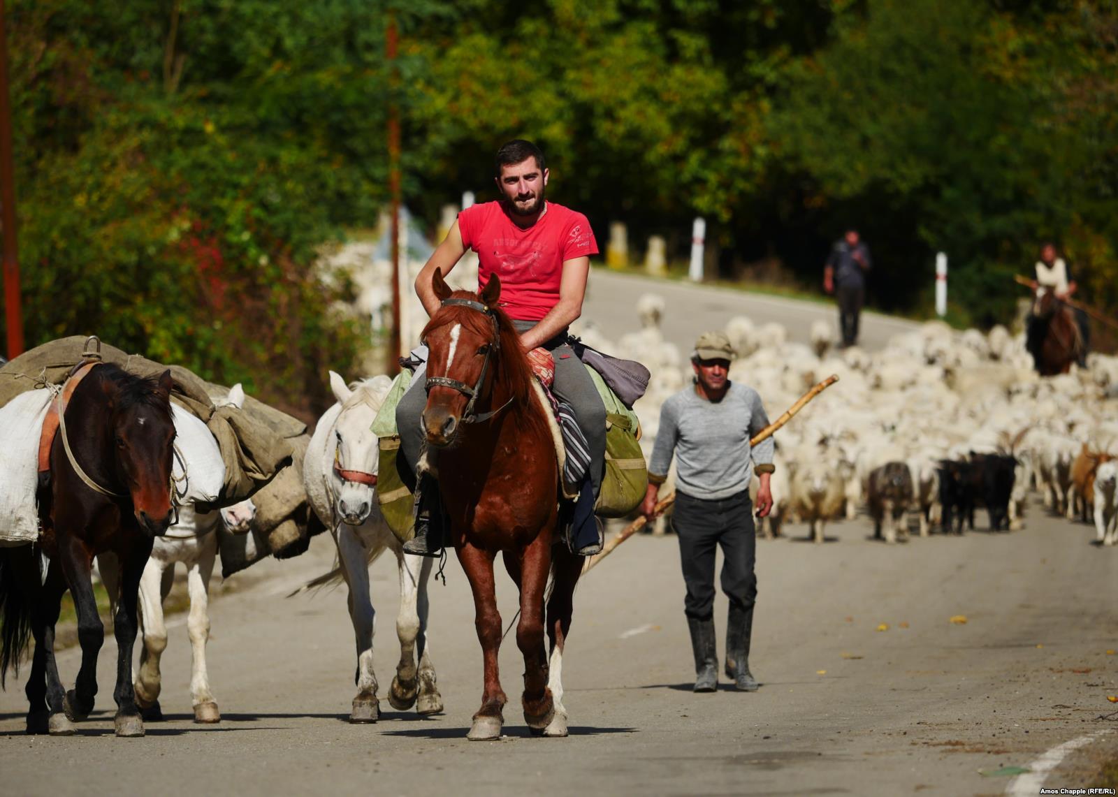 „A deadly, boozy journey“ with the shepherds of Tusheti geotv.ge