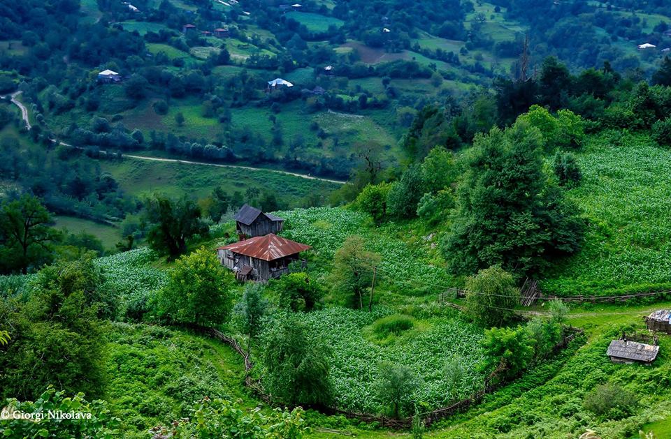The most charming Imeretian Yard of Georgia to be revealed geotv.ge