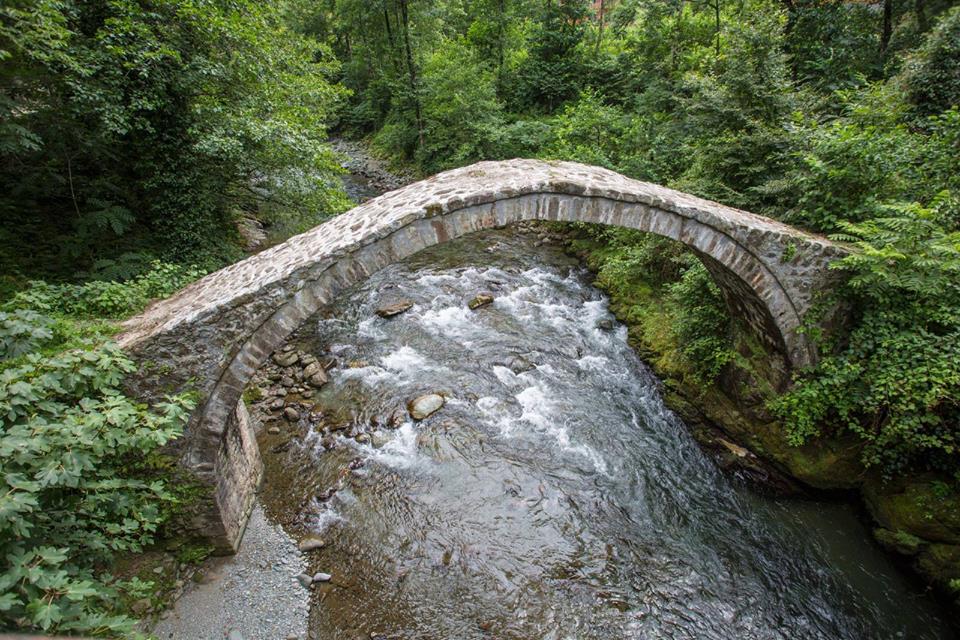 Caucasus Nature Fund allocates 1 100 000 EUR to Georgian Protected Areas geotv.ge
