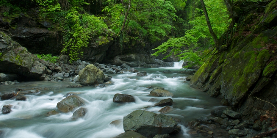 Caucasus Nature Fund allocates 1 100 000 EUR to Georgian Protected Areas geotv.ge