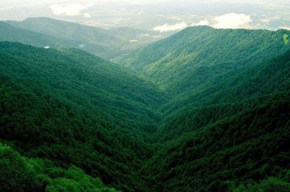 Caucasus Nature Fund allocates 1 100 000 EUR to Georgian Protected Areas geotv.ge