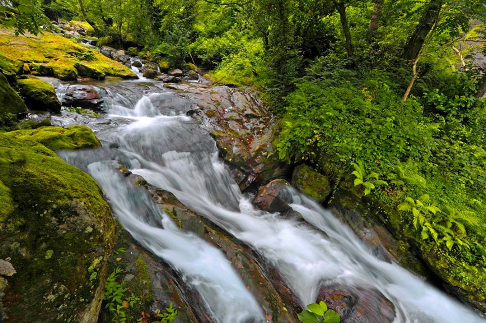 Caucasus Nature Fund allocates 1 100 000 EUR to Georgian Protected Areas geotv.ge