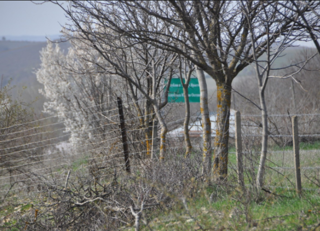 Georgian citizen kidnapped by Russian occupiers released geotv.ge