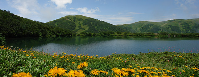 Discover Batumi geotv.ge