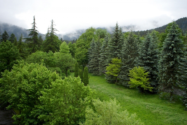 Discover Borjomi geotv.ge