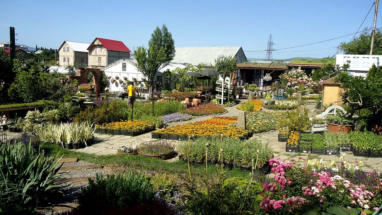 Places to chill out in Tbilisi geotv.ge