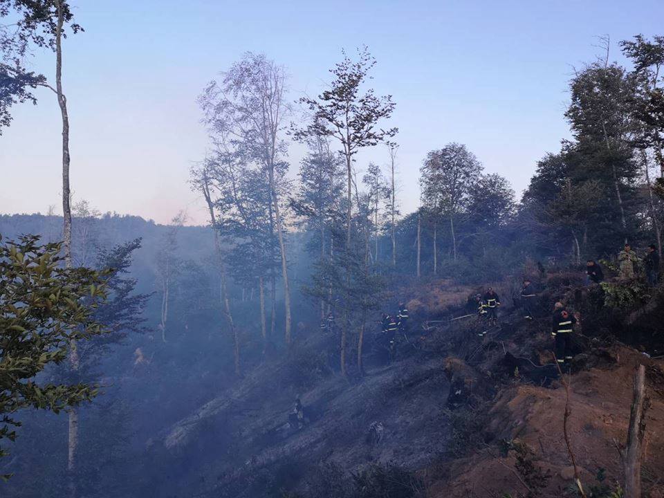 Wildfire in Khashuri, Tseda village geotv.ge