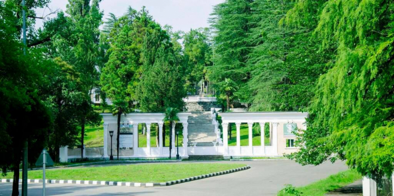 Medical tourism increases in Georgia geotv.ge