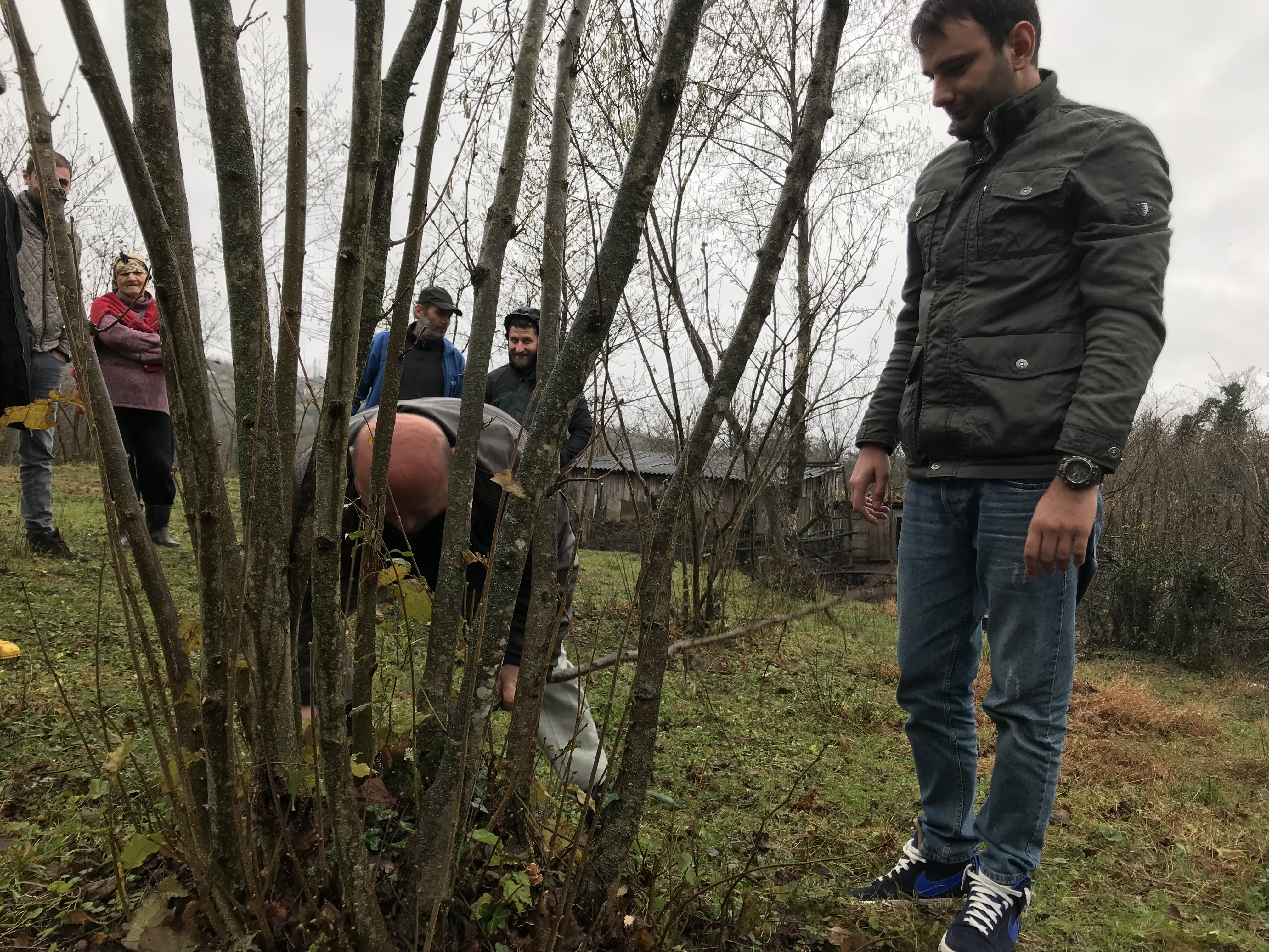 Training farmers to rescue the organic hazelnut production in Georgia geotv.ge