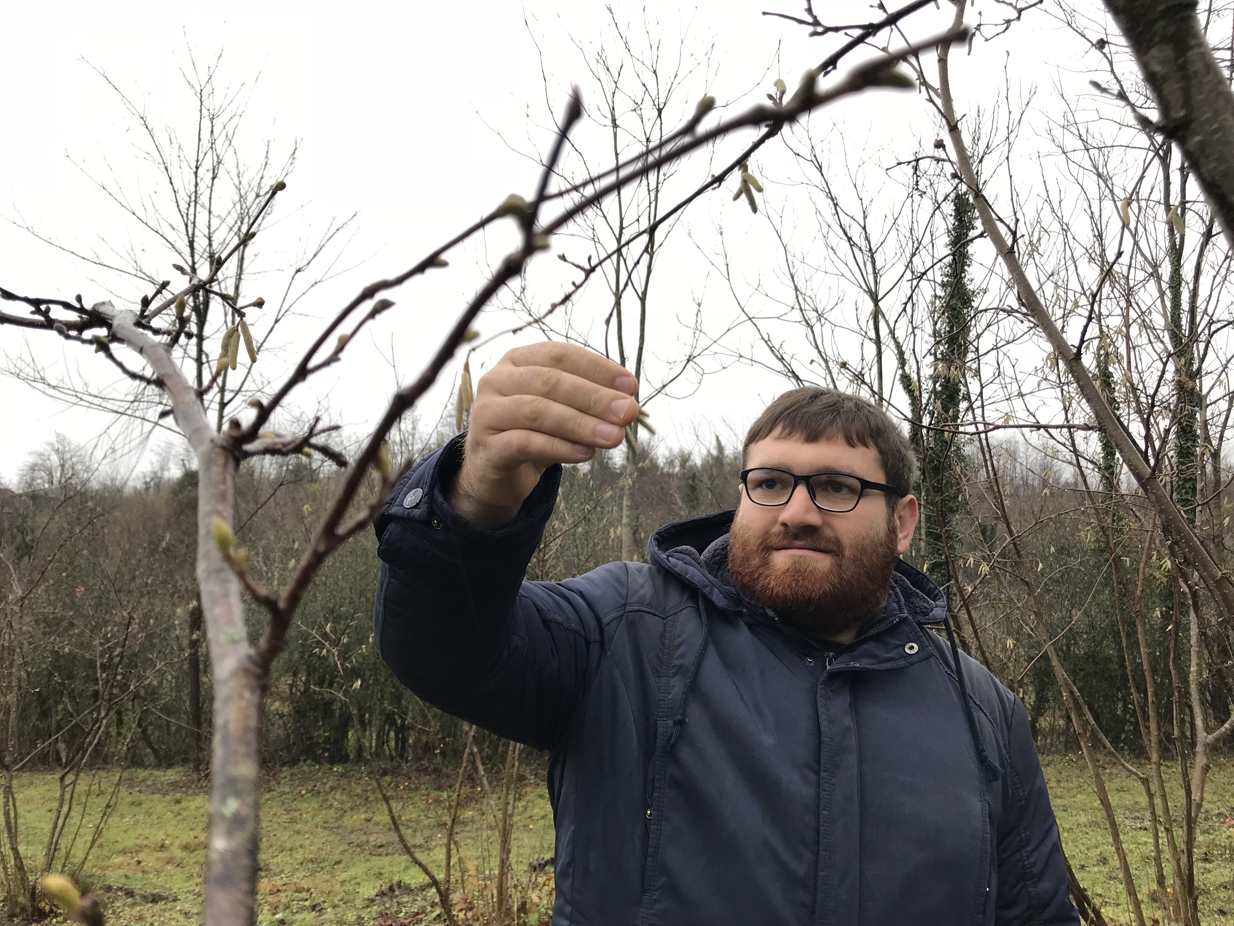 Training farmers to rescue the organic hazelnut production in Georgia geotv.ge