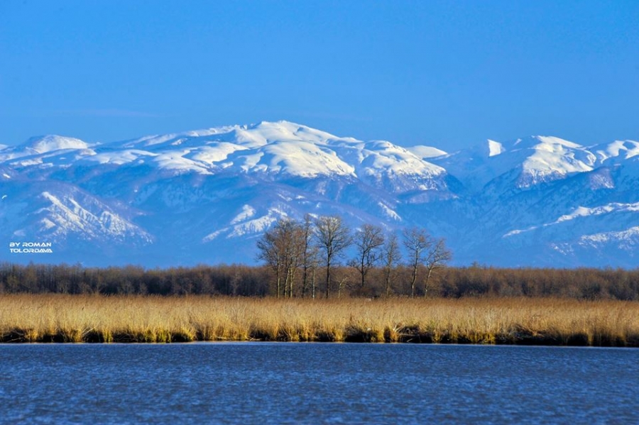 Georgian forests and wetlands to be included among UNESCO World Heritage Sites geotv.ge