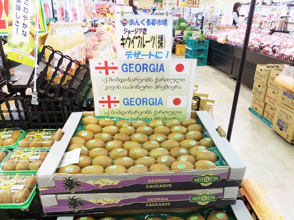 Georgian-produced kiwi becomes favorite fruit in Japan geotv.ge