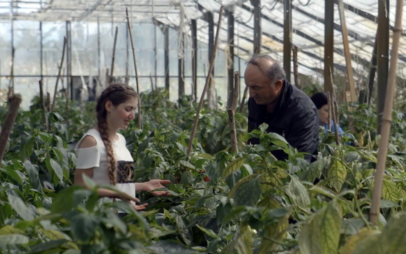 How to attract young people to choose agriculture over university geotv.ge