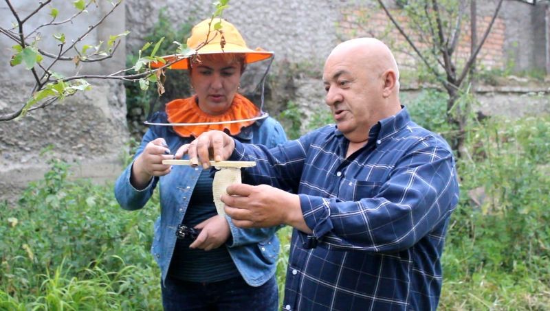 New technology of beekeeping emerges in Georgia geotv.ge