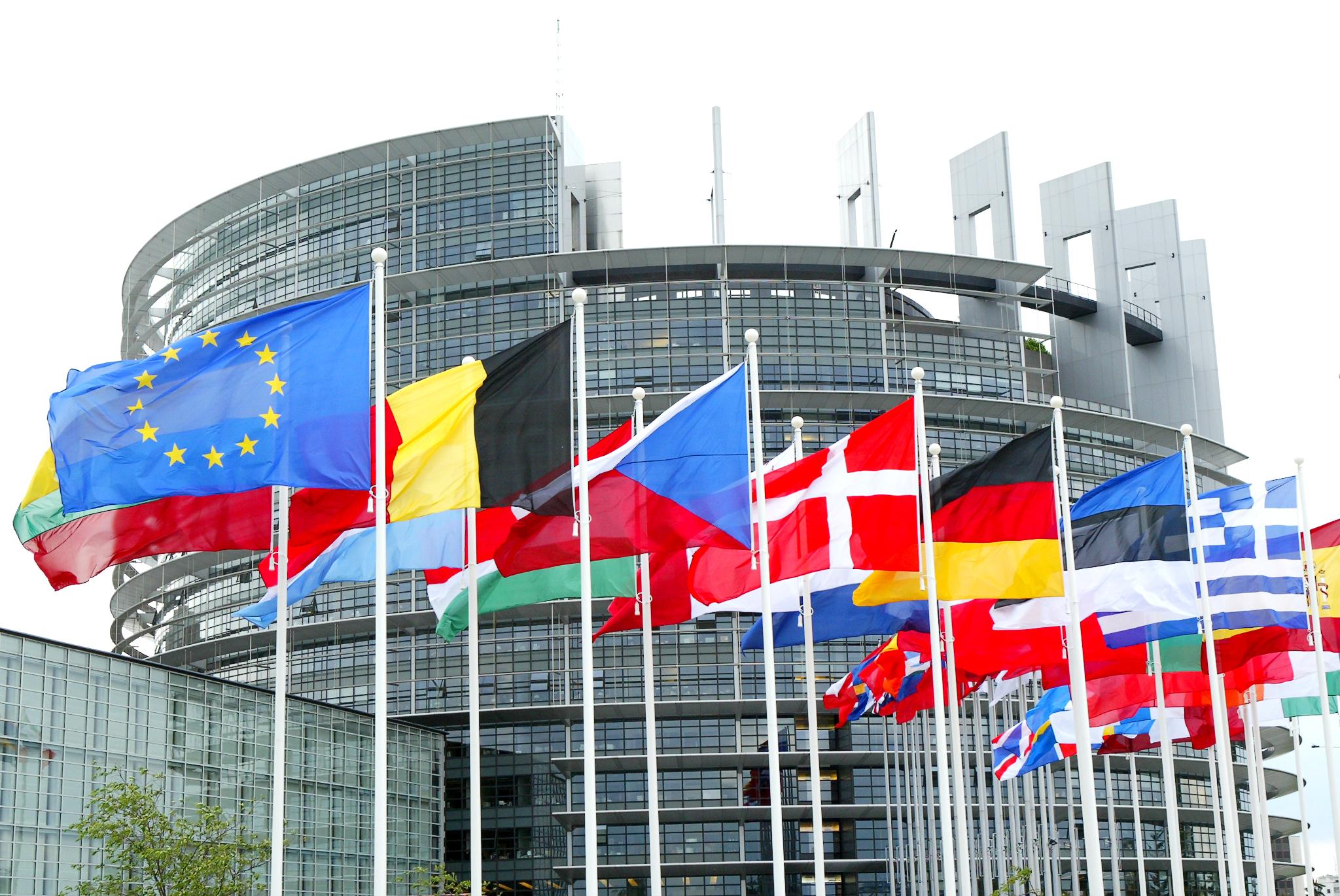 European Parliament adopts resolution on Georgia's occupied territories 10 years after Russian invasion geotv.ge