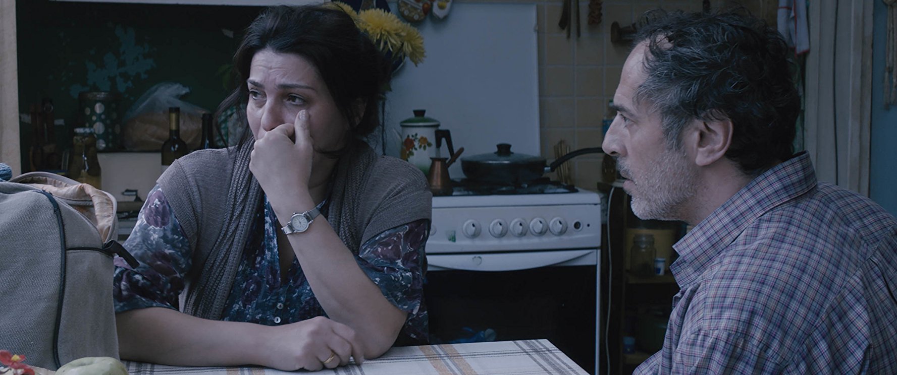 Georgian director's My Happy Family among the best films screened on Netflix in 2017 geotv.ge